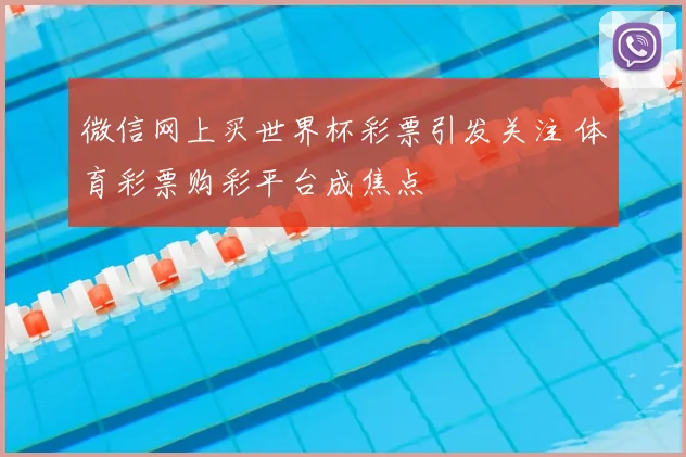微信网上买世界杯彩票引发关注 体育彩票购彩平台成焦点